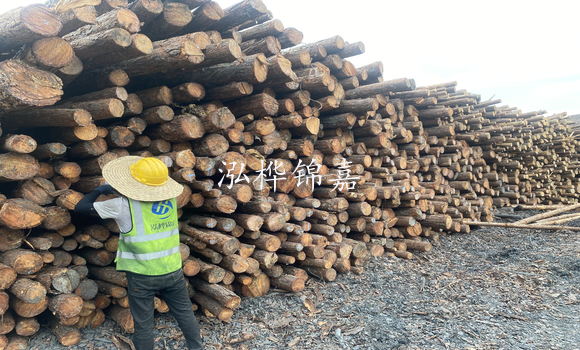 松木樁是什么，松木樁的用途有哪些-松木樁介紹