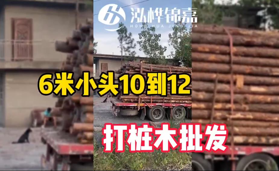 6米小頭10-12cm<a href=http://www.thefunfoodfactory.com/ target=_blank class=infotextkey>打樁木</a>批發(fā)