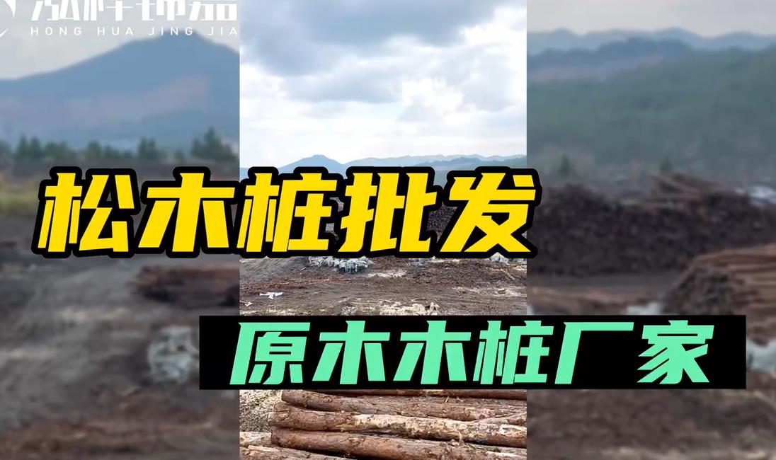 原木木樁廠家批發(fā)<a href=http://www.thefunfoodfactory.com/ target=_blank class=infotextkey>松木樁</a>