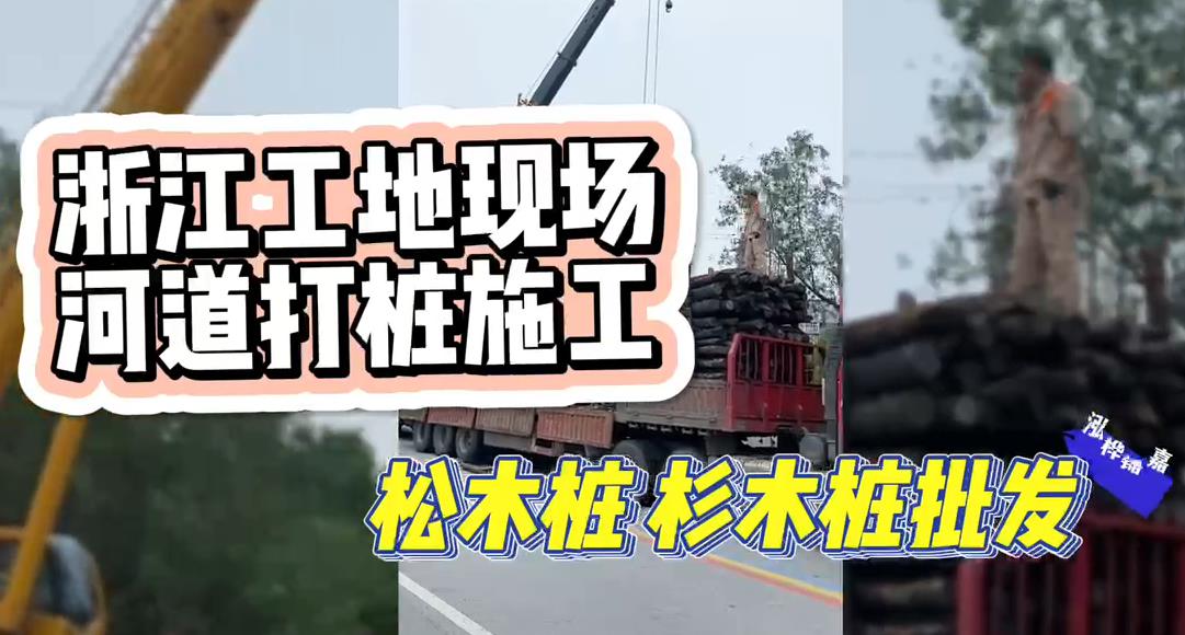 木樁廠家承接<a href=http://www.thefunfoodfactory.com/ target=_blank class=infotextkey>松木樁</a>、杉木樁工地施工與批發(fā)視頻