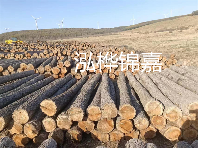 60級打松木樁一天打多少，快速提高戰(zhàn)斗力的小技巧